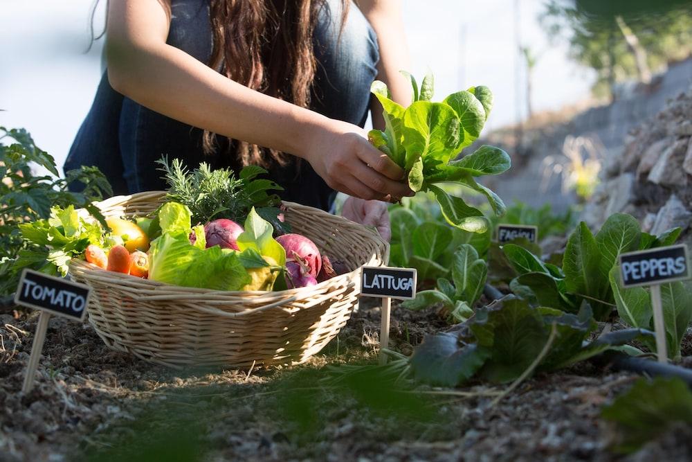 Casale Di Caterina Vendégház Taormina Kültér fotó